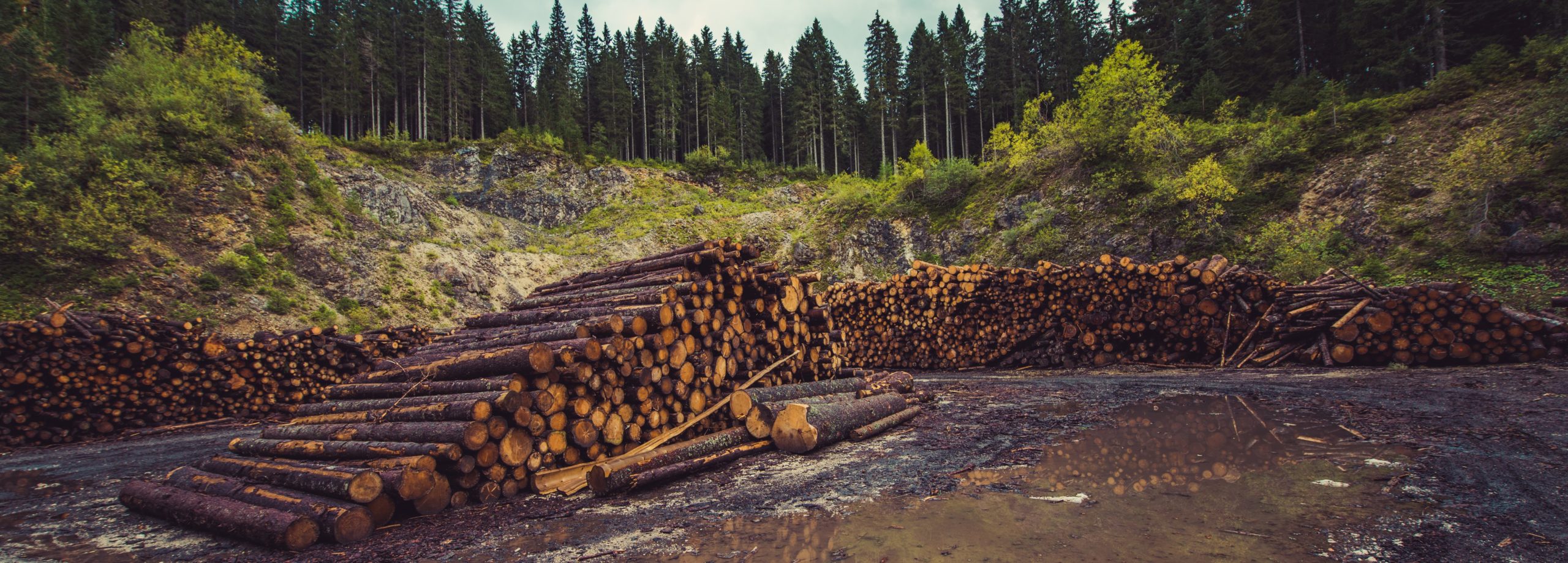 Nachhaltig und Naturnah