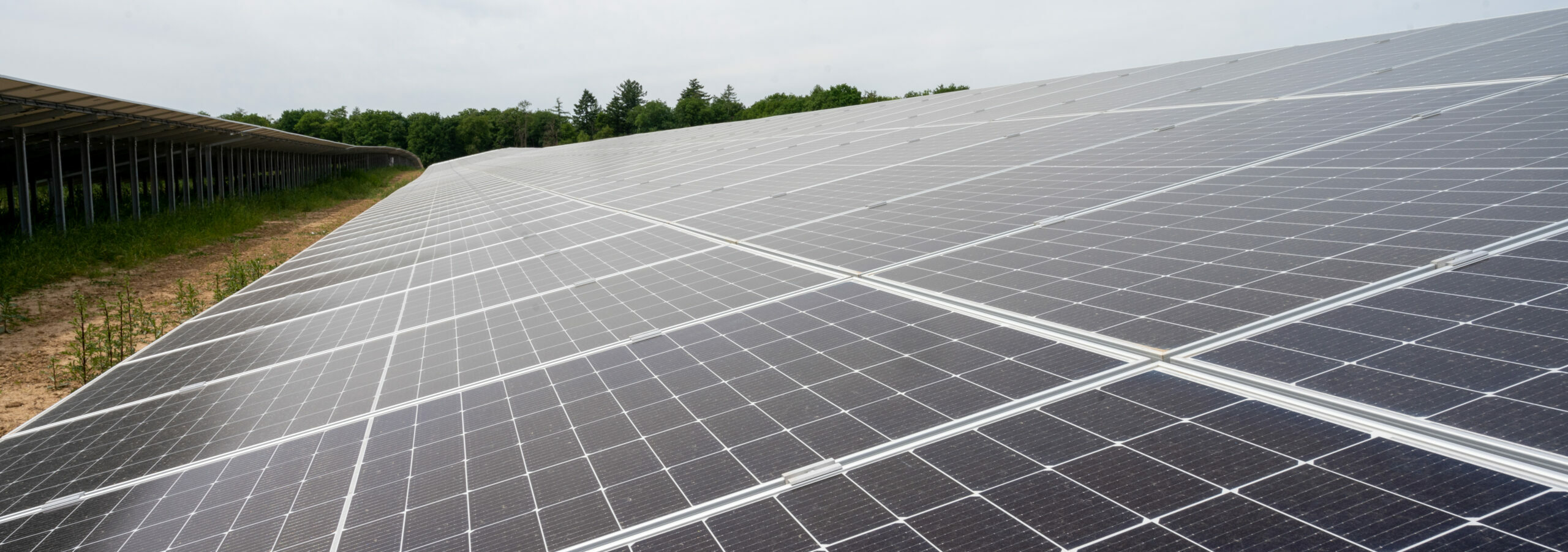 Klimafreundliche Sonnenenergie in Roigheim: Solarpark mit 6,5 Megawatt Leistung eingeweiht
